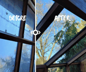 Alberts-window-cleaning-before-and-after-sunroom-cleaning-greenhouse-cleaning