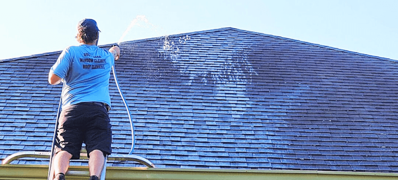 Safe roof cleaning and soft washing to remove moss, algae, black streaks, and stains while protecting shingle integrity