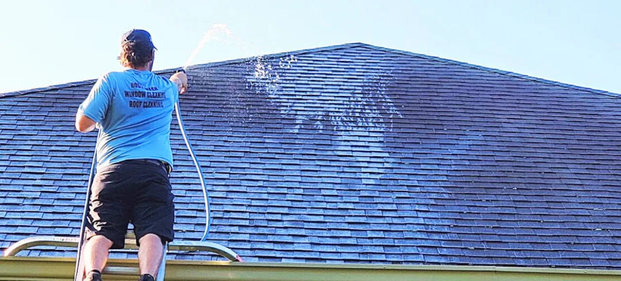 Safe roof cleaning and soft washing to remove moss, algae, black streaks, and stains while protecting shingle integrity Deck & Patio Cleaning professional-deck-and-patio-pressure-washing-and-power-washing