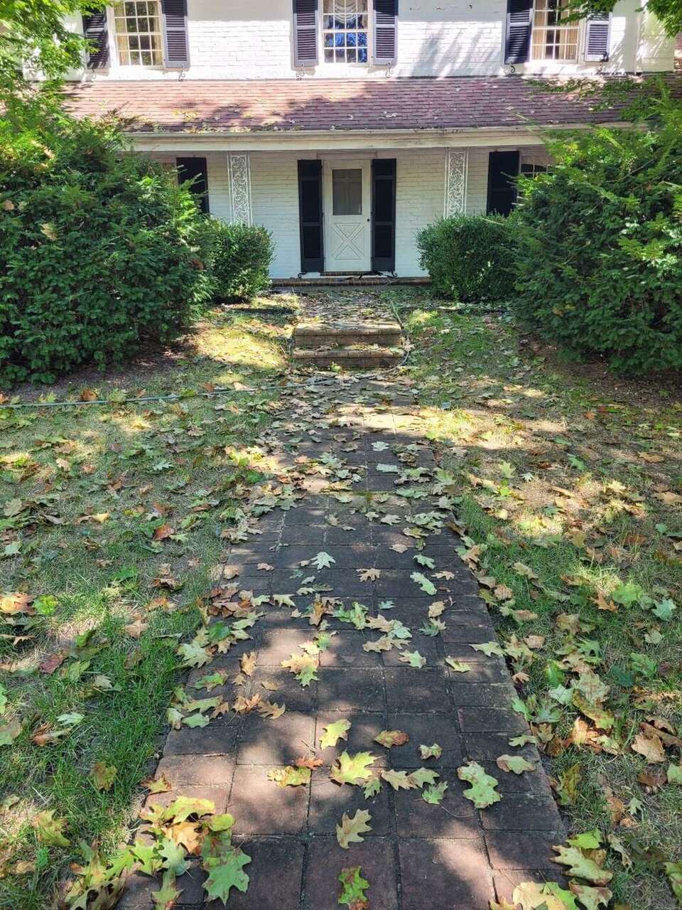 Before pressure washing - brick walkway before surface cleaning